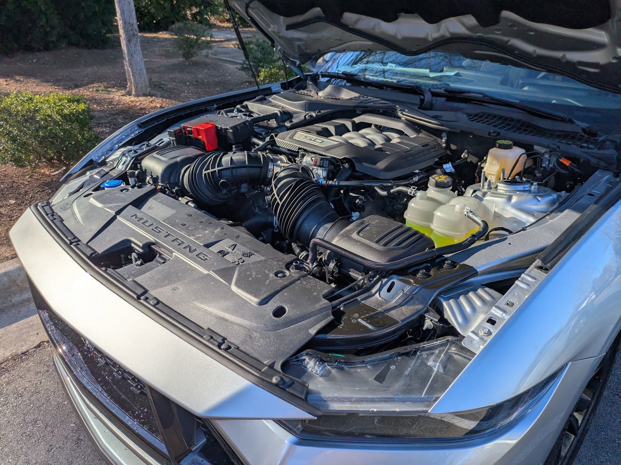 2026 Ford Mustang GT