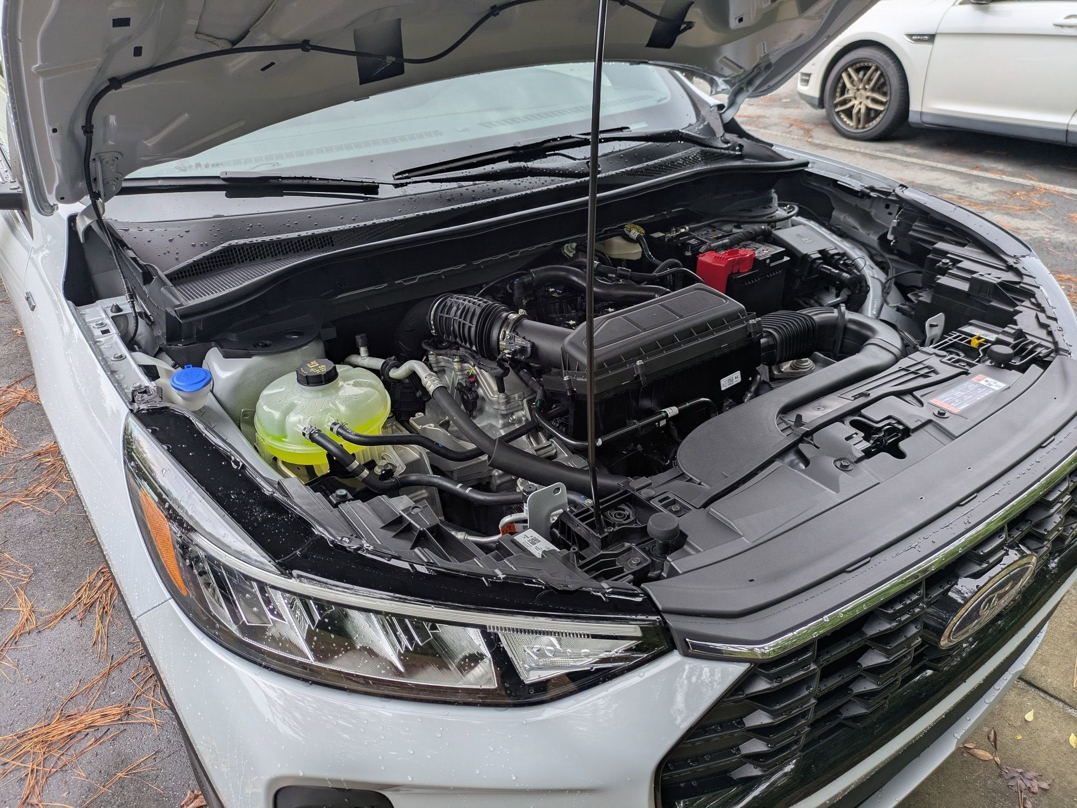 2026 Ford Escape ST-Line