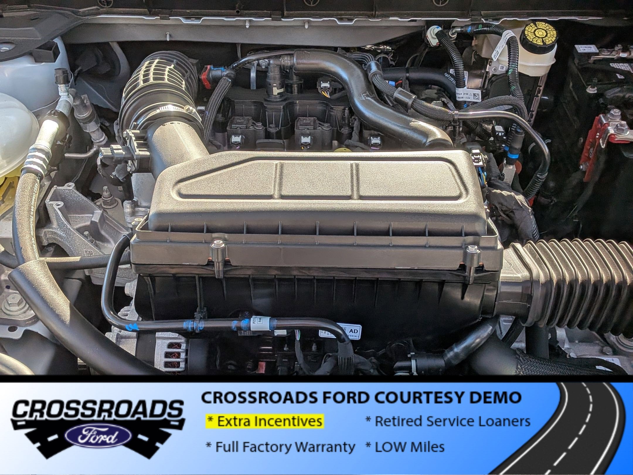 2025 Ford Escape Active - Crossroads Courtesy Demo