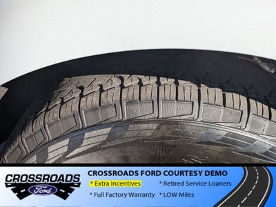 2025 Ford Expedition Active - Crossroads Courtesy Demo