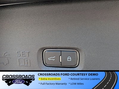 2025 Ford Expedition Active - Crossroads Courtesy Demo