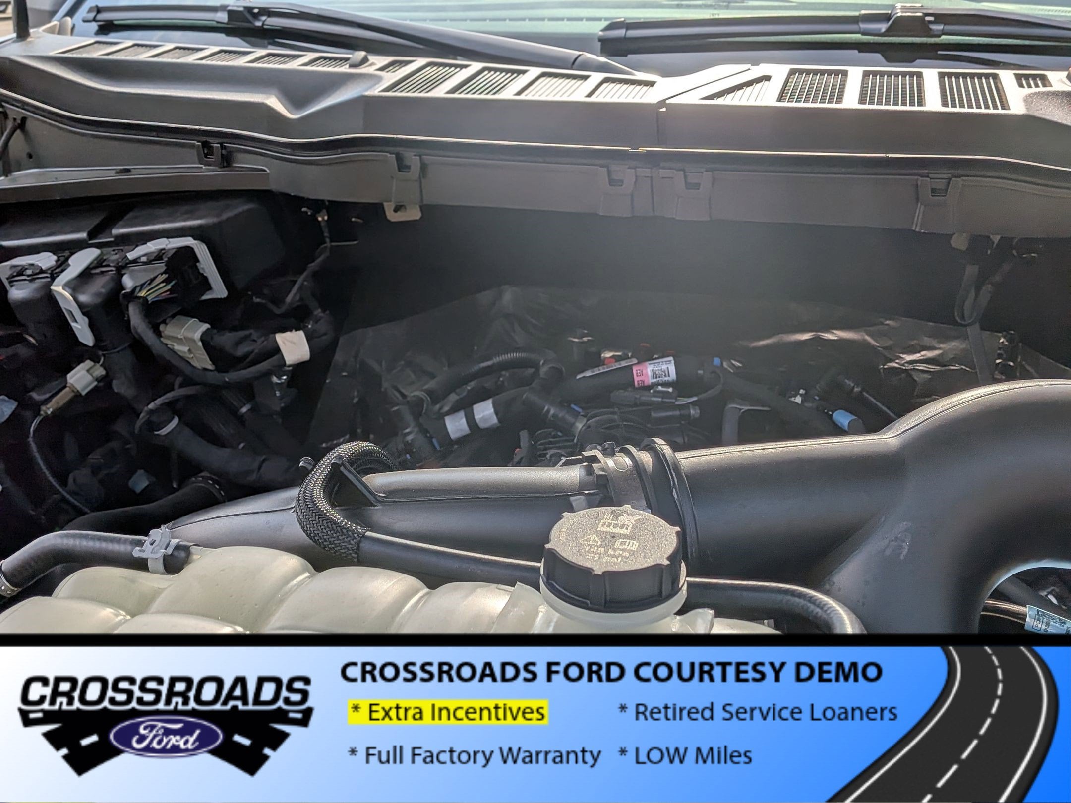 2025 Ford F-150 STX - Crossroads Courtesy Demo