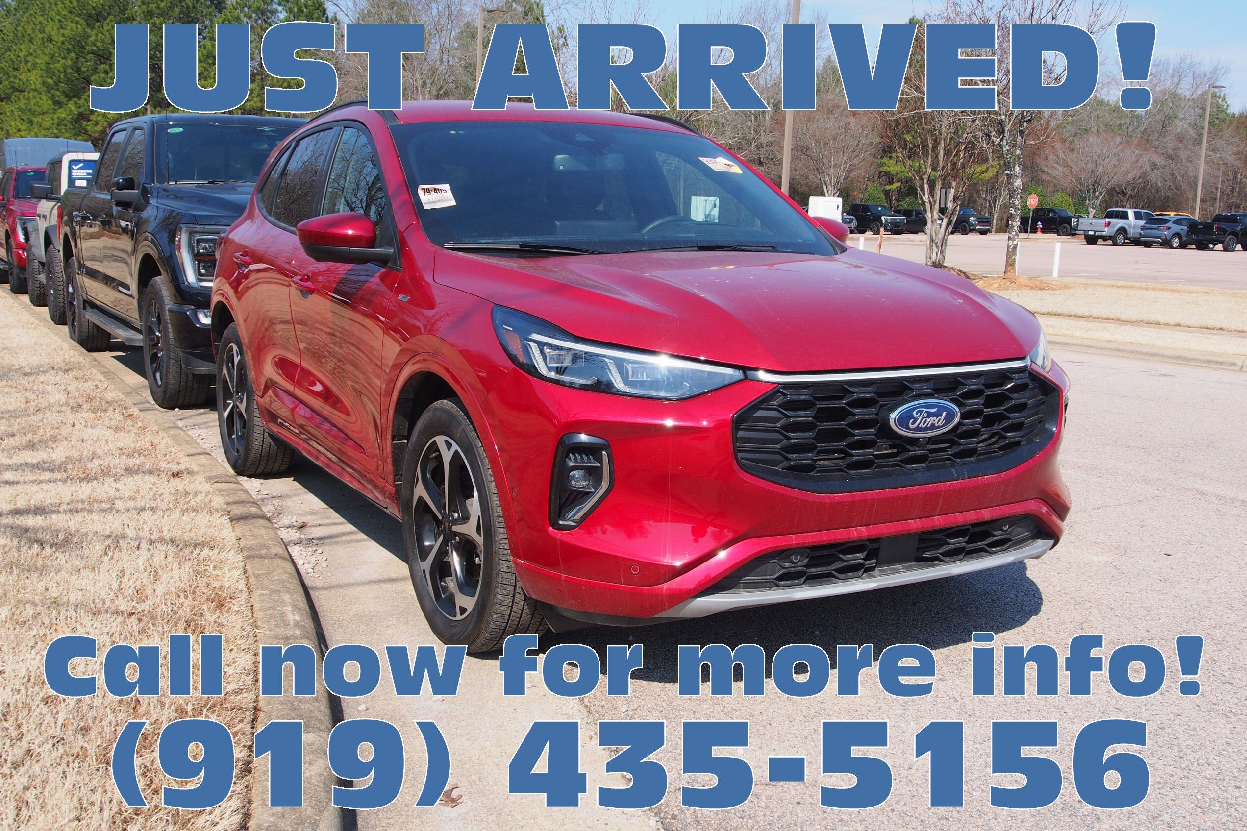 2023 Ford Escape ST-Line Elite