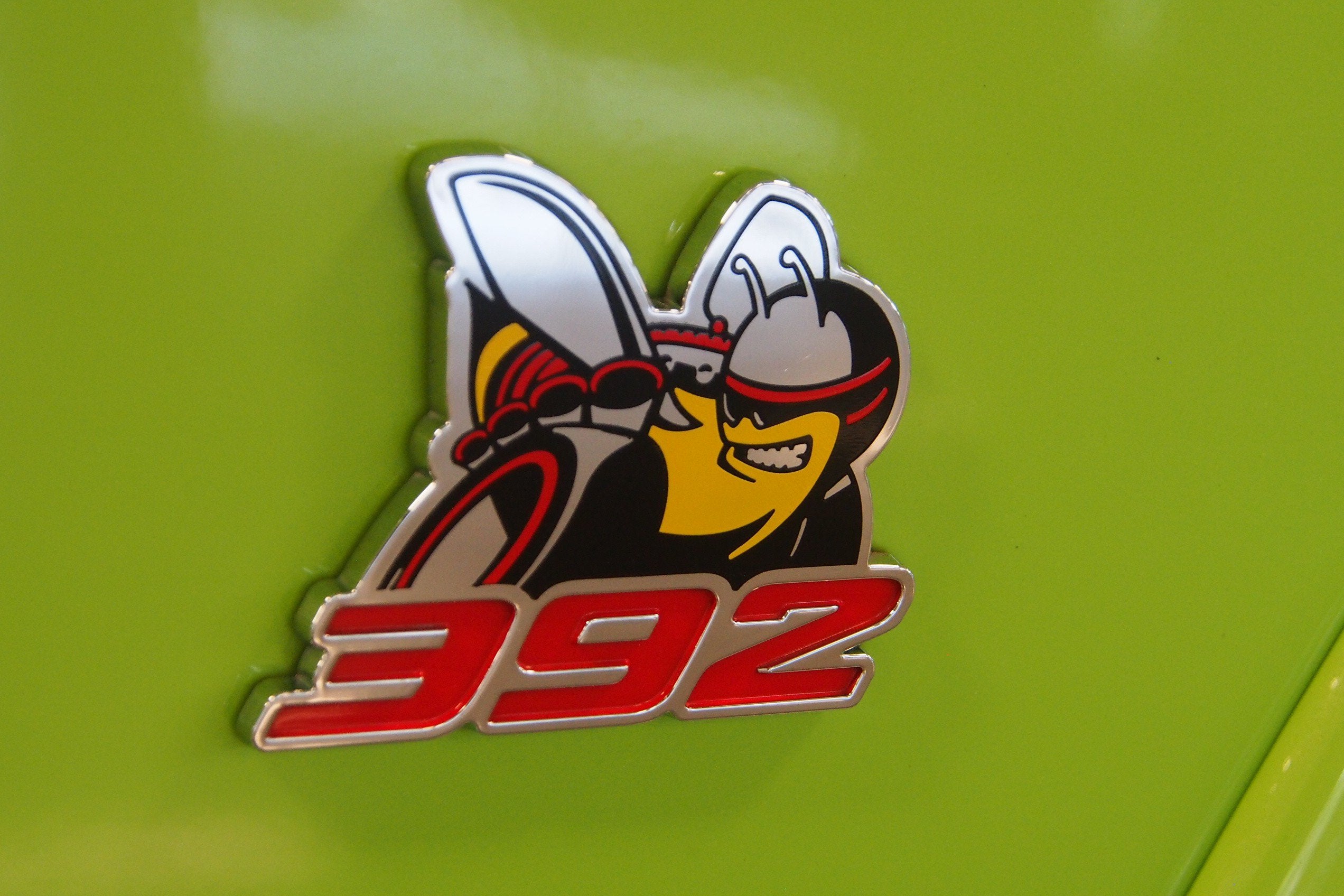Photo 8