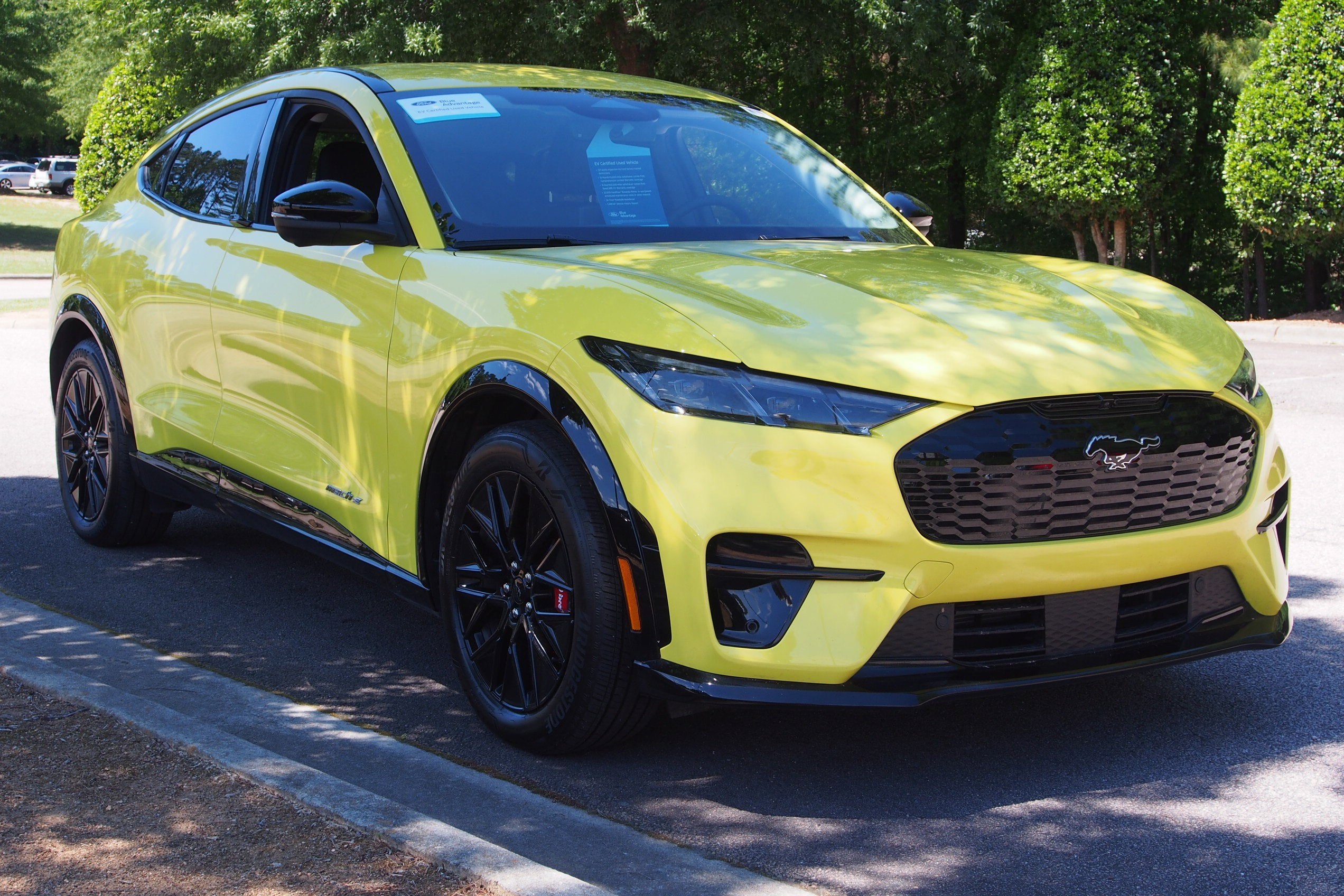 2025 Ford Mustang-Mach-e Premium's photo