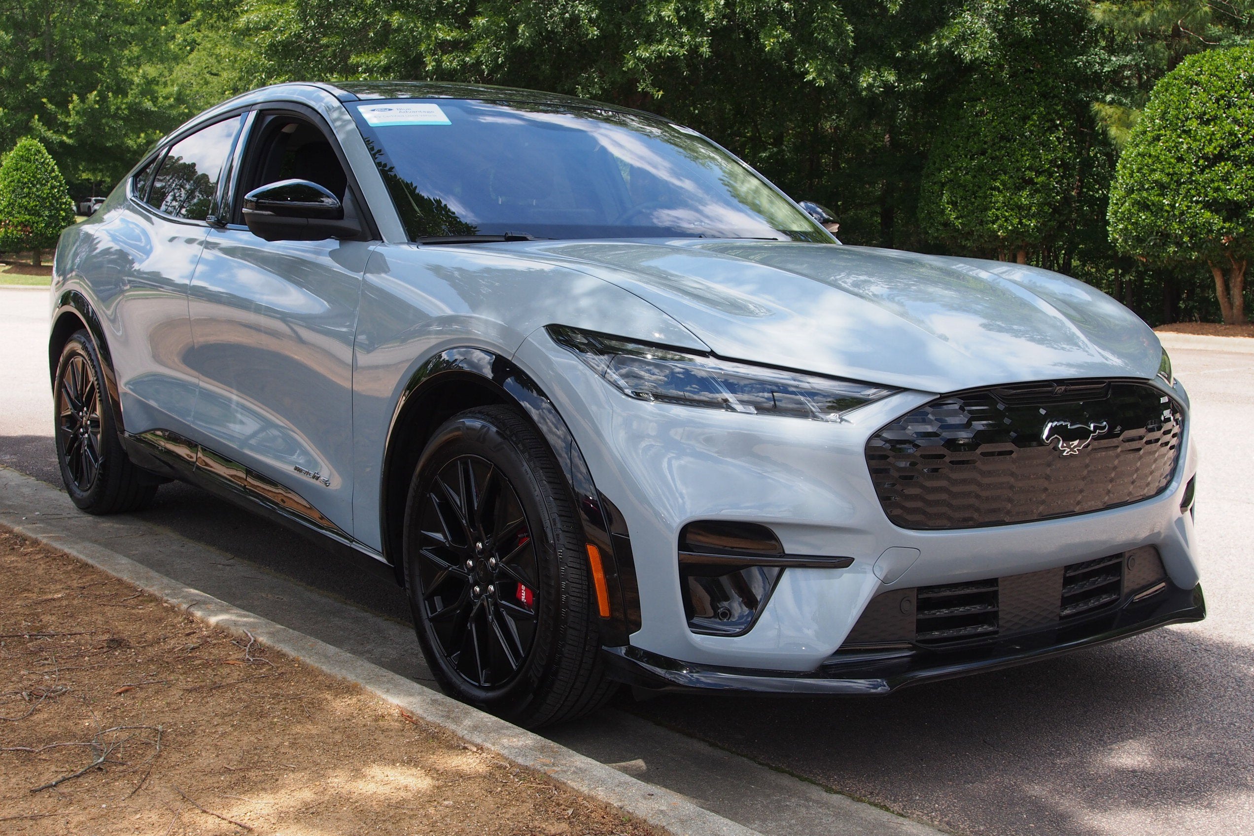 2025 Ford Mustang-Mach-e Premium's photo