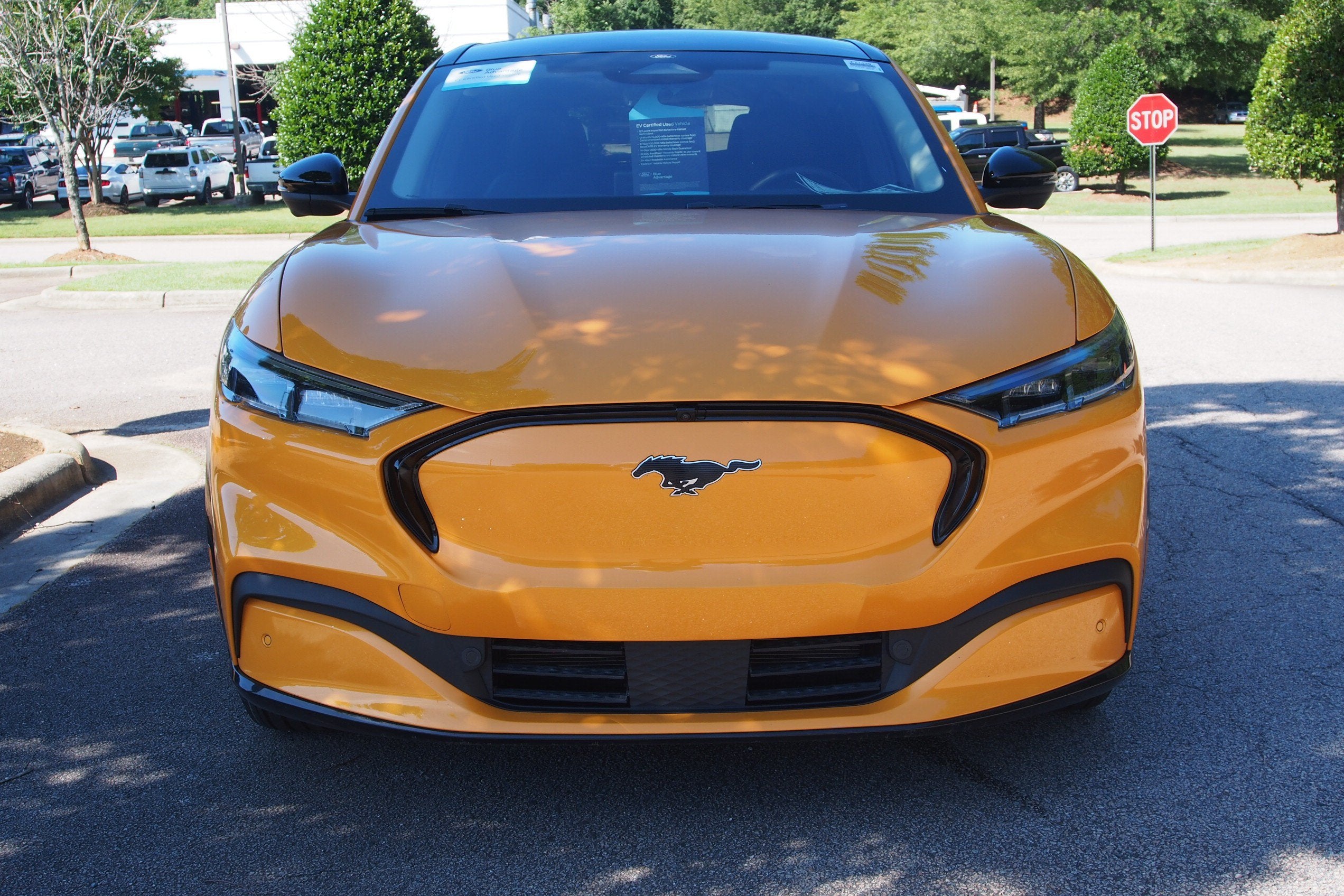 Used 2023 Ford Mustang Mach-E Premium AWD with VIN 3FMTK3SU2PMA04093 for sale in Wake Forest, NC