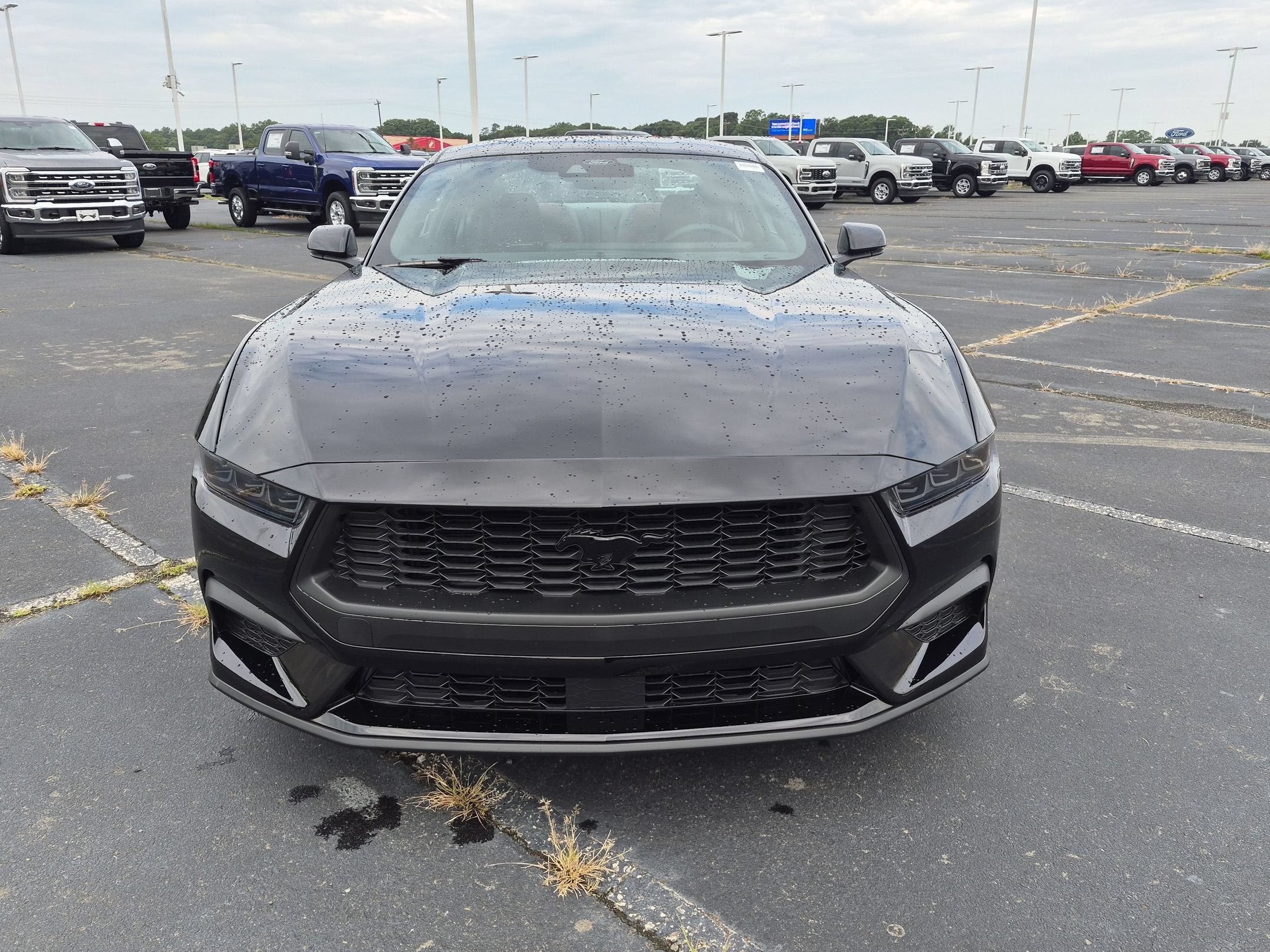 2026 Ford Mustang EcoBoost Premium