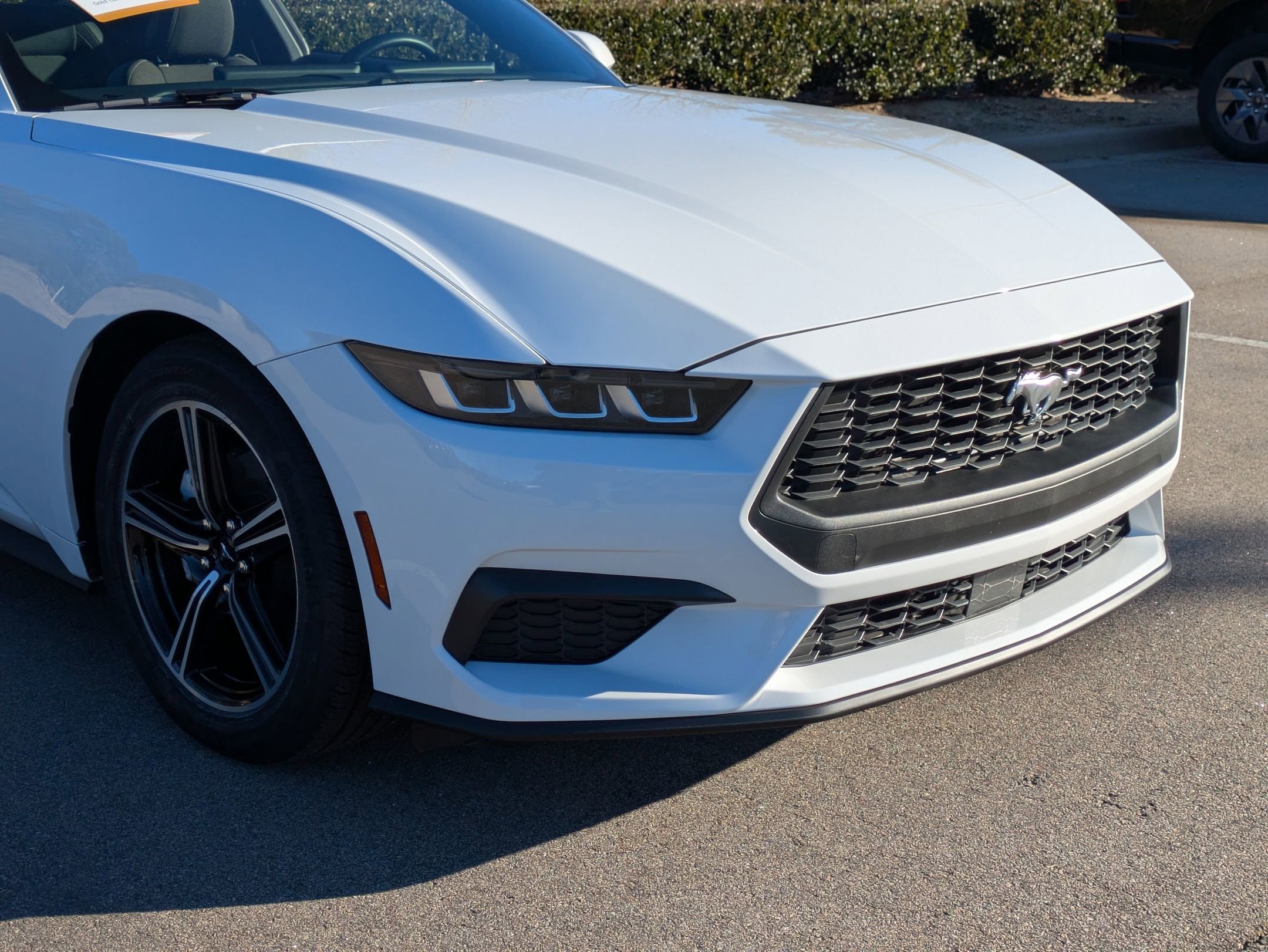 2025 Ford Mustang EcoBoost