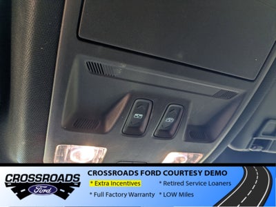 2025 Ford Escape ST-Line - Crossroads Courtesy Demo