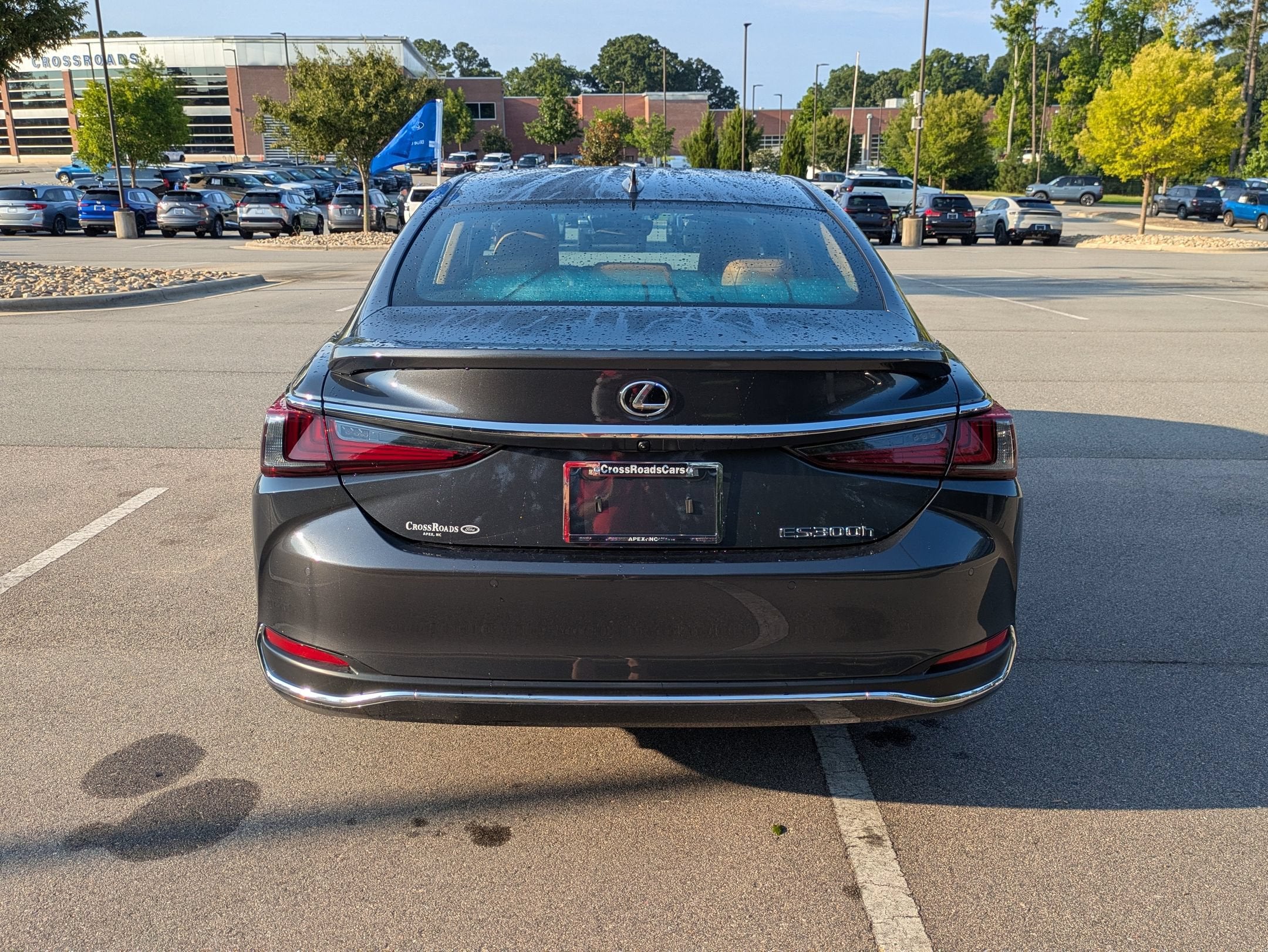 2025 Lexus ES ES 300h