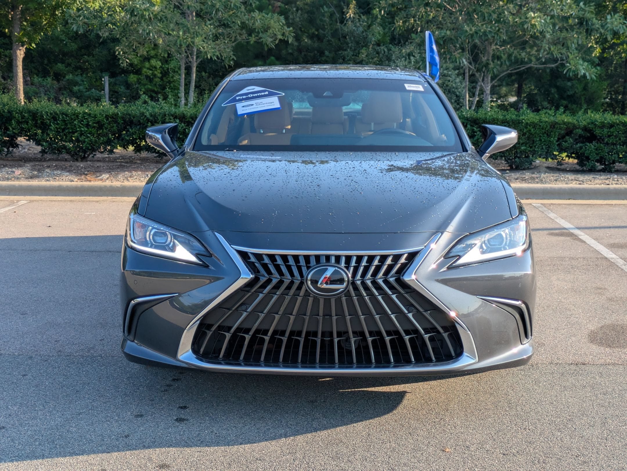 2025 Lexus ES ES 300h