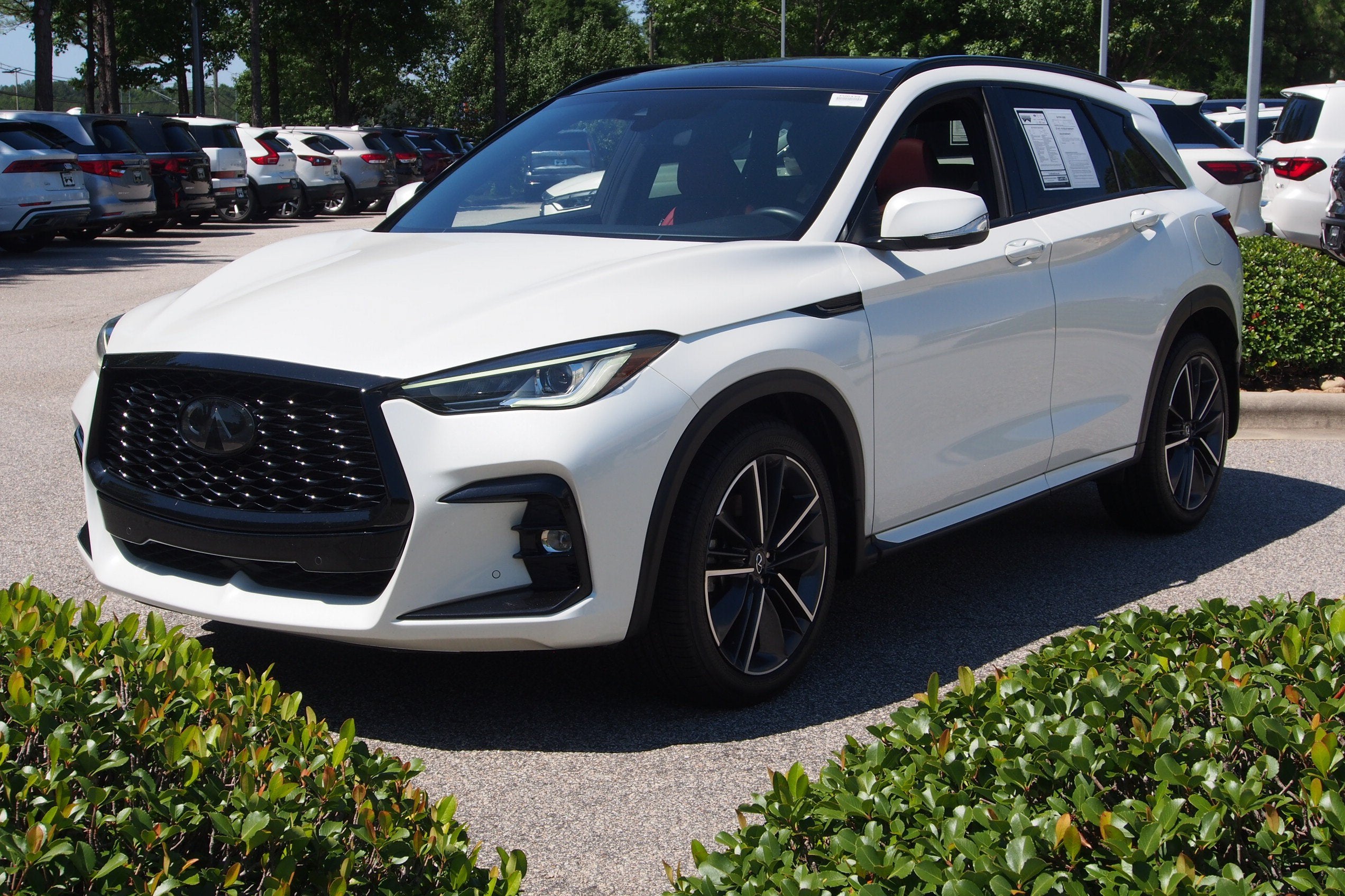 2023 INFINITI QX50 SPORT