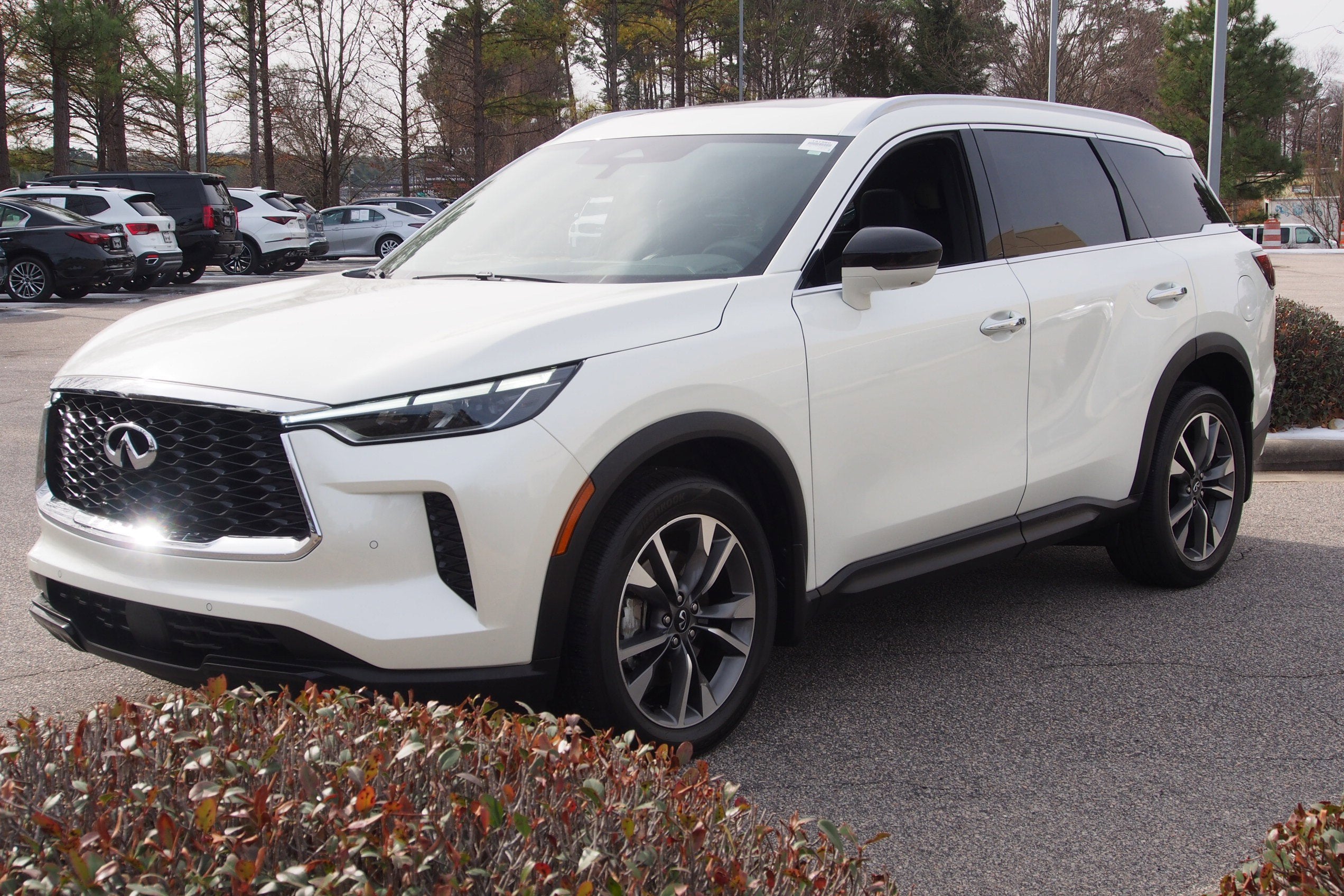 2025 INFINITI QX60 LUXE