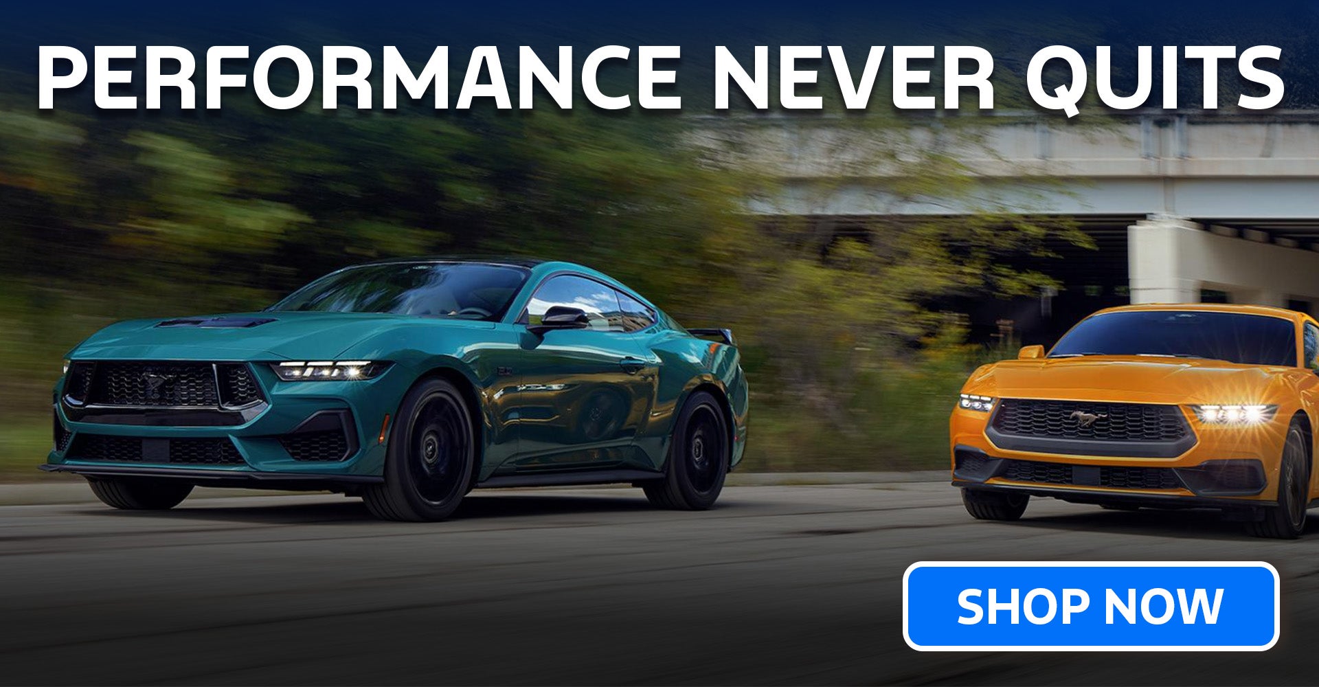 2026 Ford Mustang Wake Forest, NC