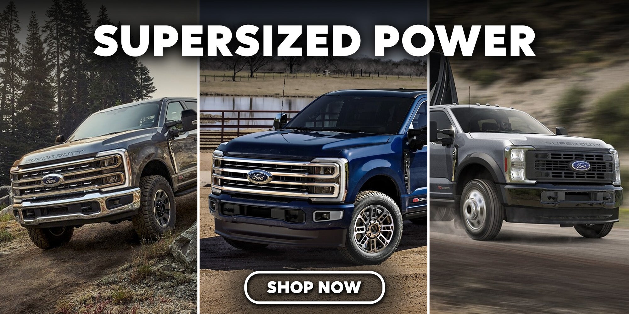 2025 Ford Super Duty Wake Forest NC