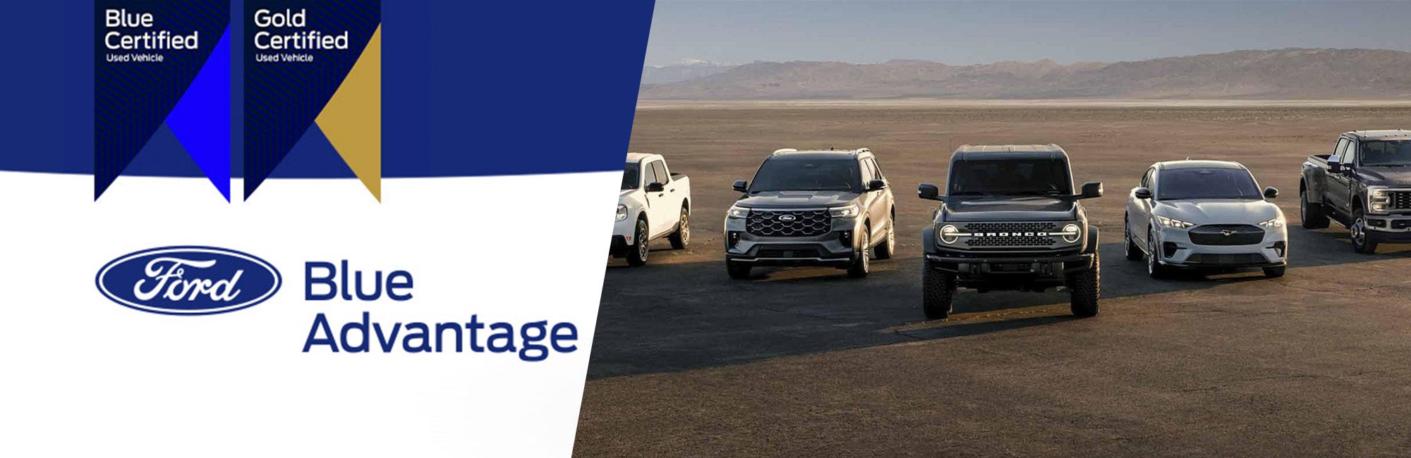 Ford Inventory in Wake Forest, NC